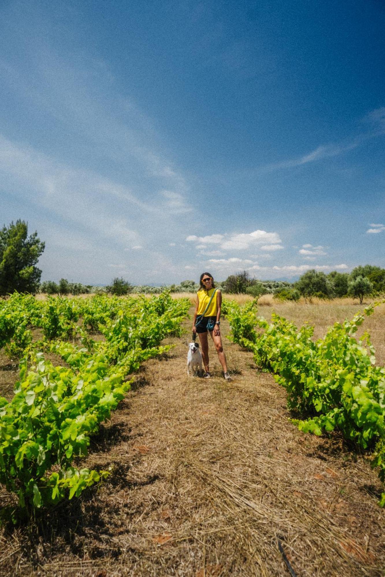 מלון Goúvai Eumelia Organic Agrotourism Farm מראה חיצוני תמונה