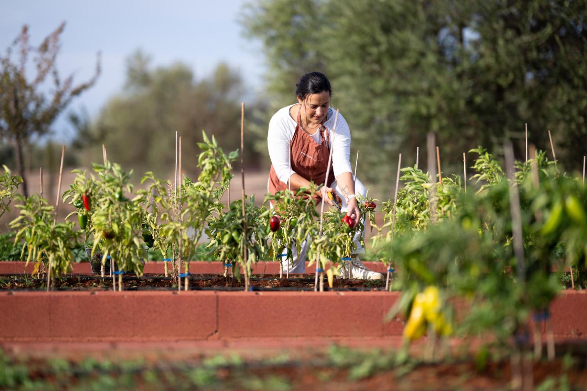 מלון Goúvai Eumelia Organic Agrotourism Farm מראה חיצוני תמונה